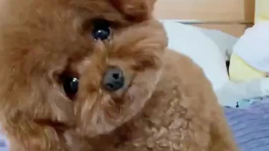 每日养眼防止散光